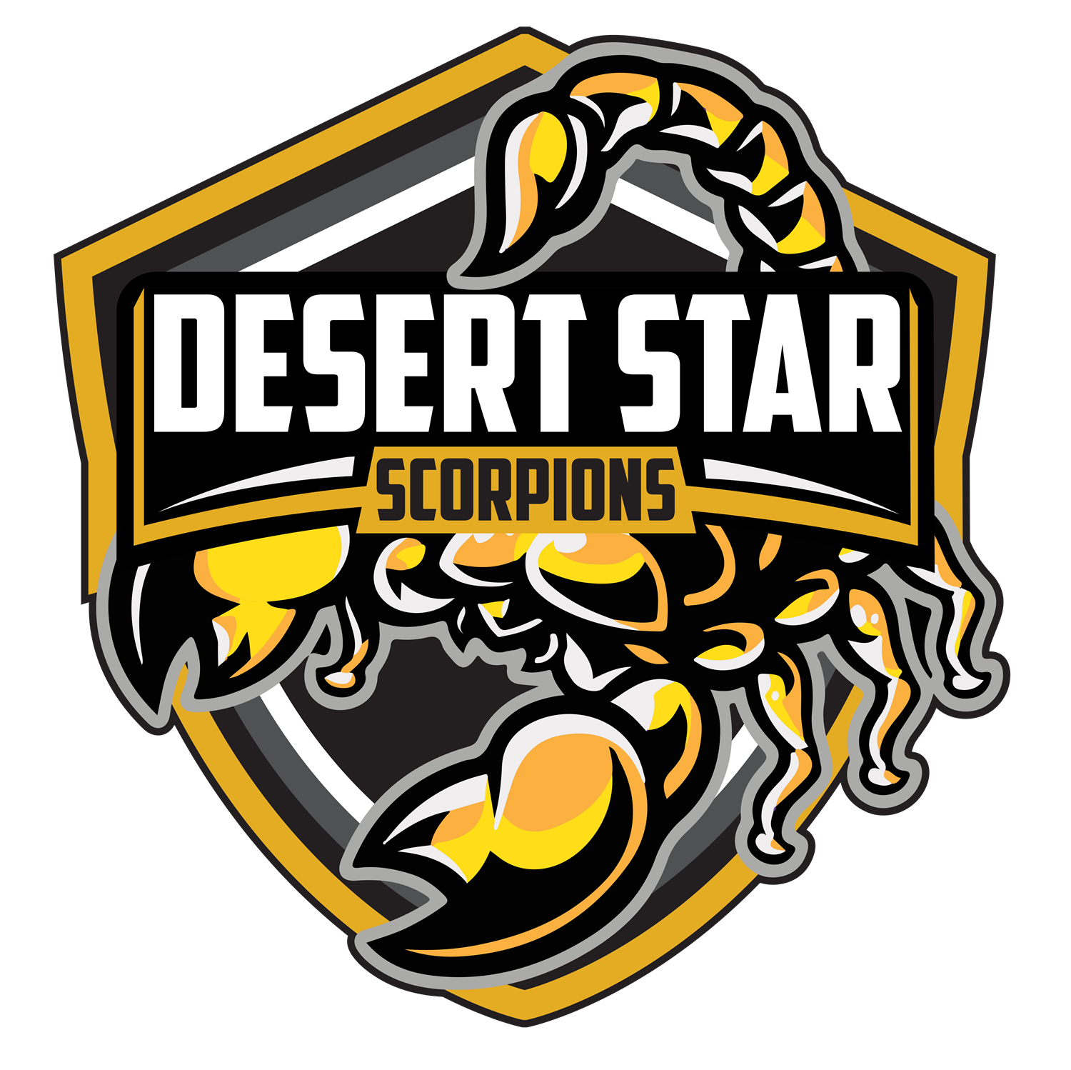 Desert Star School Logo