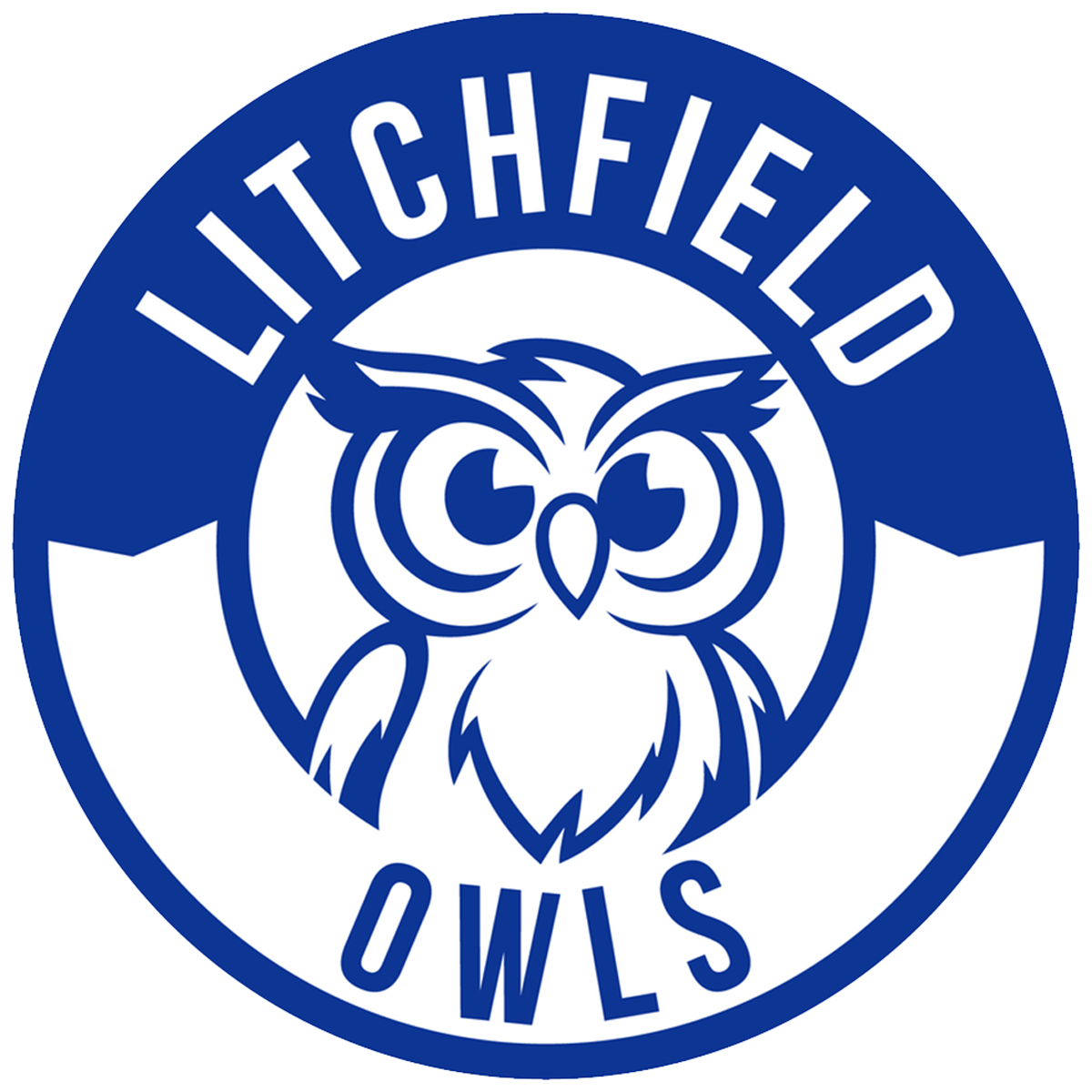 Litchfield Elementary School Logo